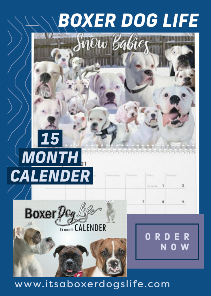 The ultimate gift for a Boxer dog fan. This 15 month Boxer Dog calendar contains over 230 Boxers of every shape, size, and color submitted by Boxer dog owners all over the world.