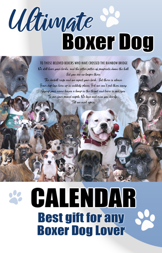 The ultimate gift for a Boxer dog fan. This 15 month Boxer Dog calendar contains over 230 Boxers of every shape, size, and color submitted by Boxer dog owners all over the world.