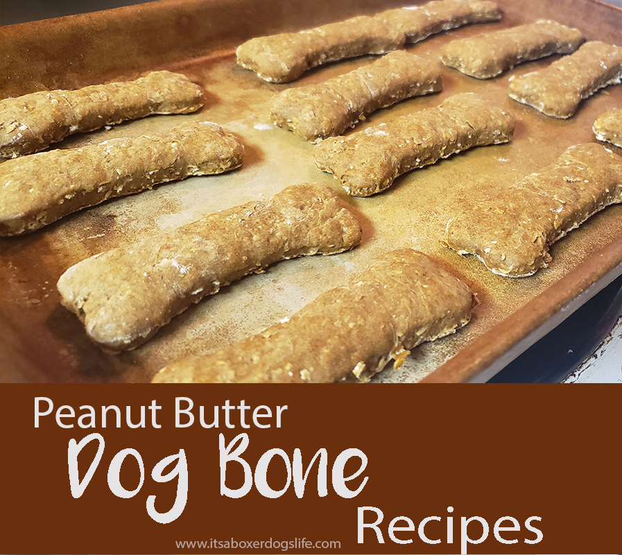 Homemade dog treats are fun to make and give to your dogs or as gift for dog lovers.  This peanut butter dog treat recipe is easy to make and your dogs will drool with delight.