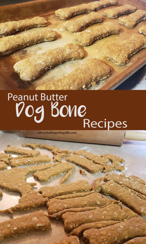 Homemade dog treats are fun to make and give to your dogs or as gift for dog lovers.  This peanut butter and pumpkin dog treats recipe will be come your dogs favorite.